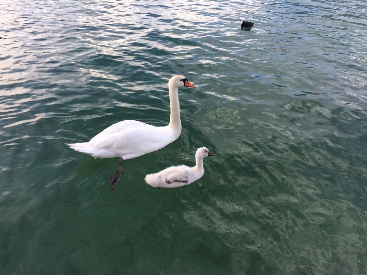 Lac Annecy Plage Privee, Duplex Baie Des Voiles Duingt Zewnętrze zdjęcie